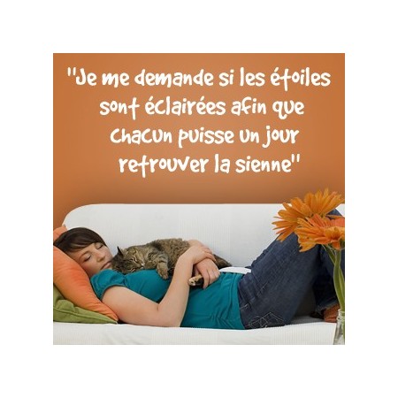 pegatinas de vinilo con Frase en francés