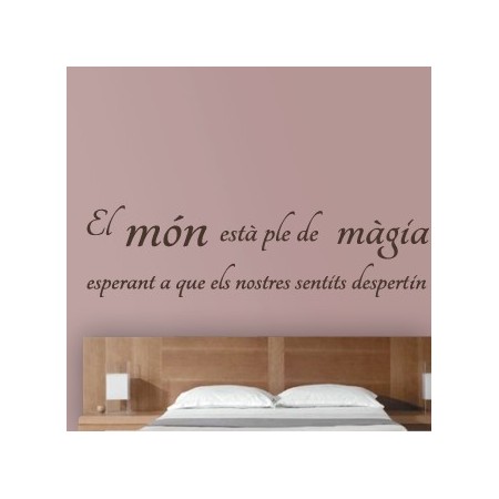 vinilos Frase en Catalán