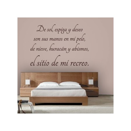 vinilos El Sitio de Mi Recreo