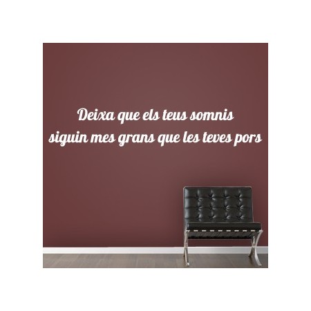 vinilos en catalan Somnis i Pors