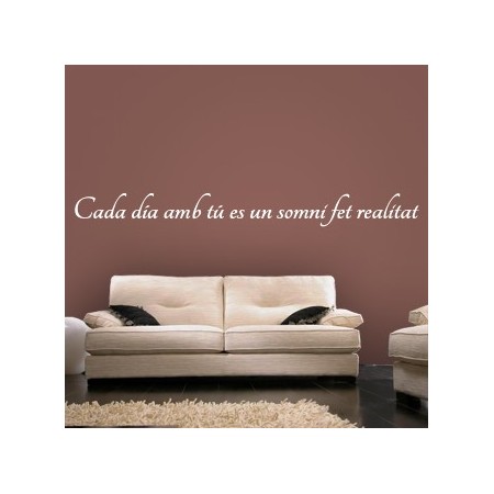 vinilos en catalan Somni fet Realitat