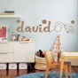 pegatinas pared nombre david