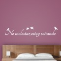 Vinilos texto No Molestar...
