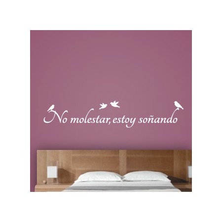 Vinilos texto No Molestar...