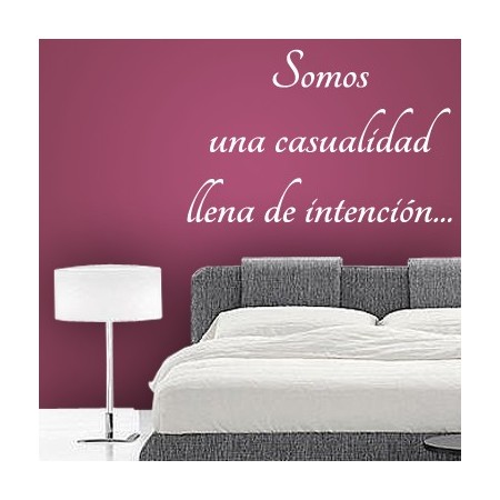 vinilos con texto Somos Casualidad