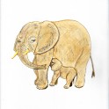 Vinilo Dibujo infantil elefante
