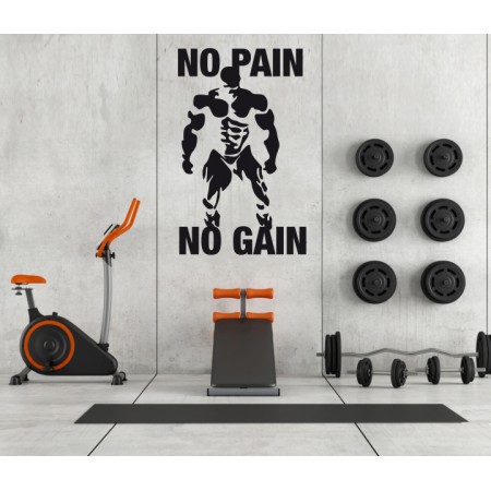 Vinilo No Pain No Gain