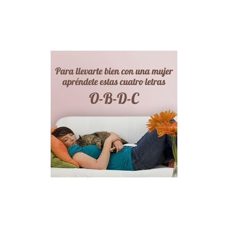 vinilos decorativos obedece