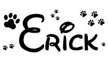Vinilos nombre Erick