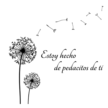 Diente de Leon con frase