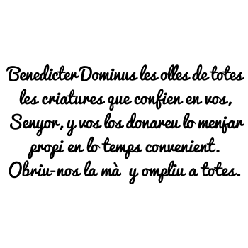 Vinilos Texto Benedicter