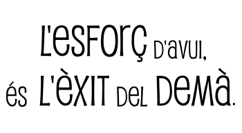 Vinilos Frase Lésforç