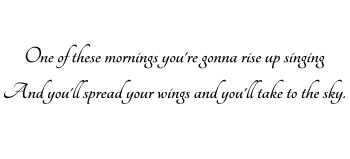 Vinilo Wings to the Sky