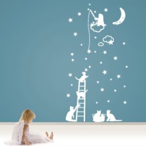 1116 Gatitos y estrellas