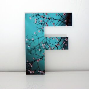 1626 Letra Decorativa F