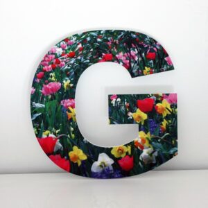 1628 Letra Decorativa G