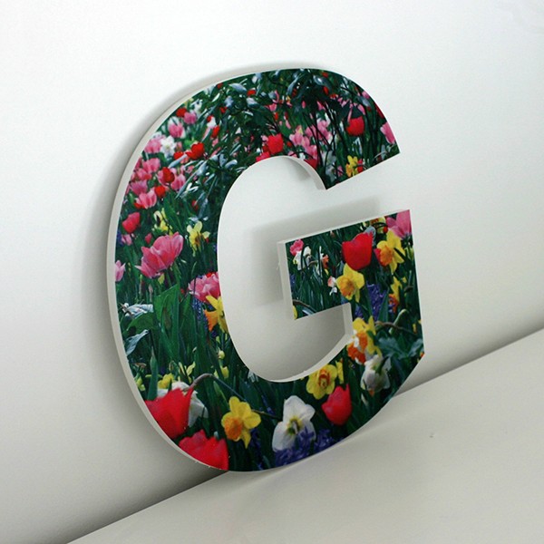 1629 Letra Decorativa G