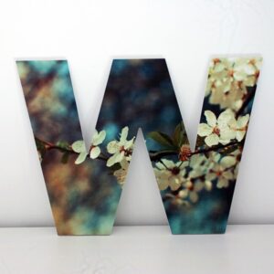 1661 Letra Decorativa W