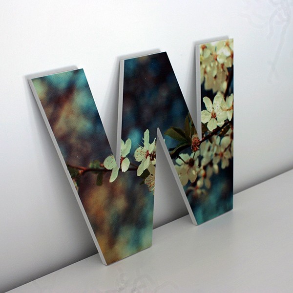 1662 Letra Decorativa W