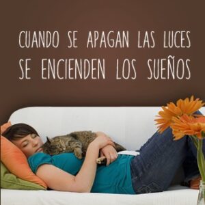 1715 Vinilos frase sobre sueños