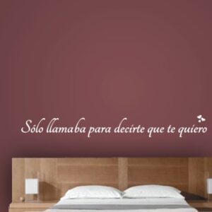 1731 Vinilo decorativo Sólo llamaba...
