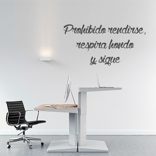 1905 Vinilos Prohibido