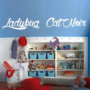 Ladybug y Cat Noir