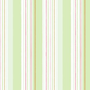 Rayas Verde menta, rosa y rojo