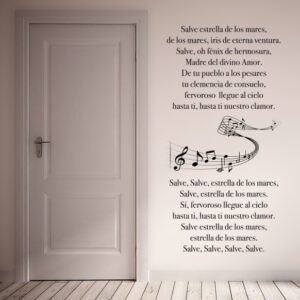 Vinilo Canción Salve Marinera