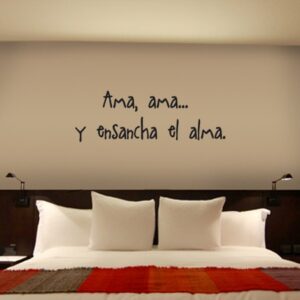 Vinilos canción Ama...