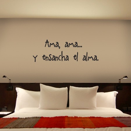 Vinilos canción Ama...