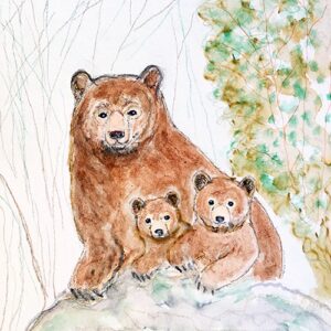 2524-2 Vinilo Dibujo infantil osos