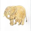 2528-2 Vinilo Dibujo infantil elefante