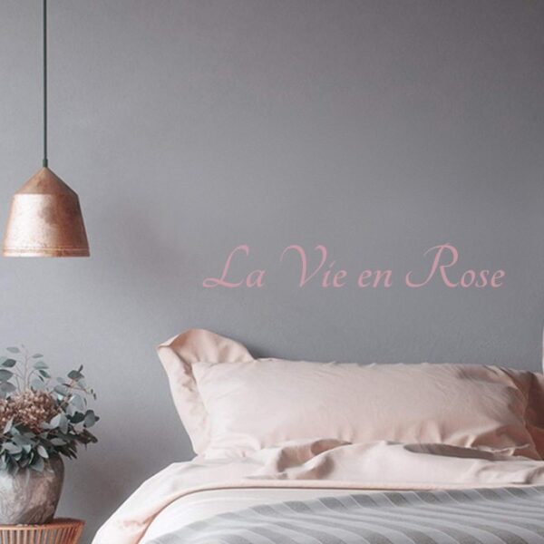 Vinilos La Vie en Rose