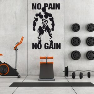 Vinilo No Pain No Gain
