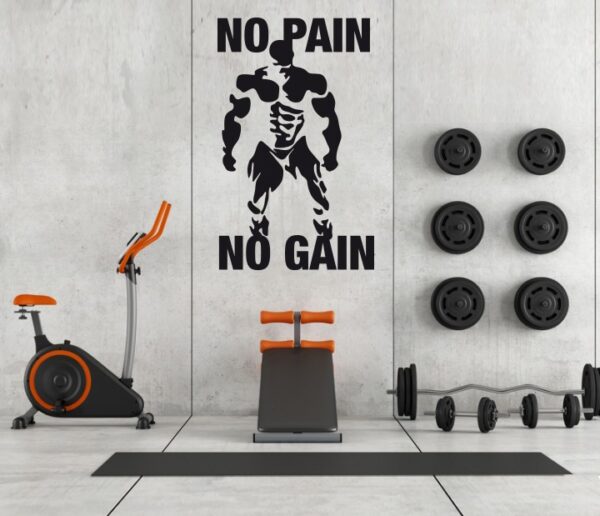 Vinilo No Pain No Gain