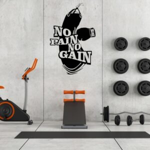 Vinilo No Pain No Gain v2