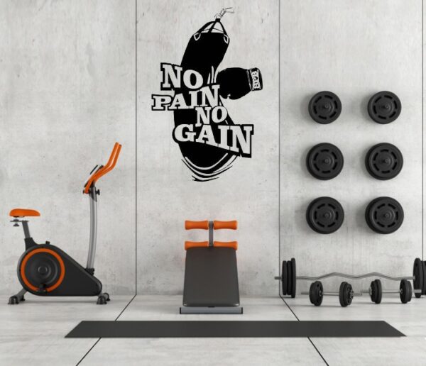 Vinilo No Pain No Gain v2