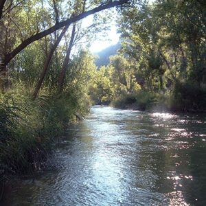 2886 Vinilo Foto Verano