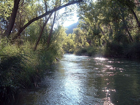 2886 Vinilo Foto Verano