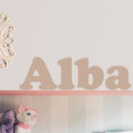 569 Nombre personalizado